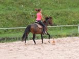 reining__265.jpg