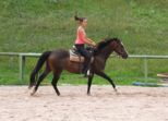 reining__270.jpg