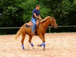 reining__276.jpg