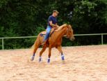 reining__277.jpg