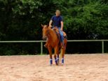 reining__279.jpg