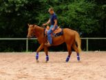 reining__280.jpg