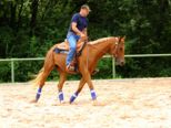 reining__282.jpg