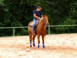 reining__286.jpg