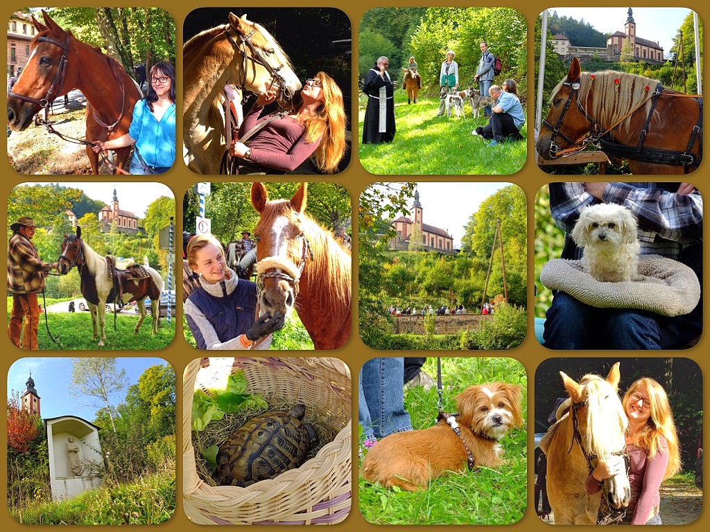 Tiersegnung 2015 im Klostergarten von Maria Buchen