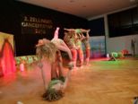 dancefestival2010__028.jpg