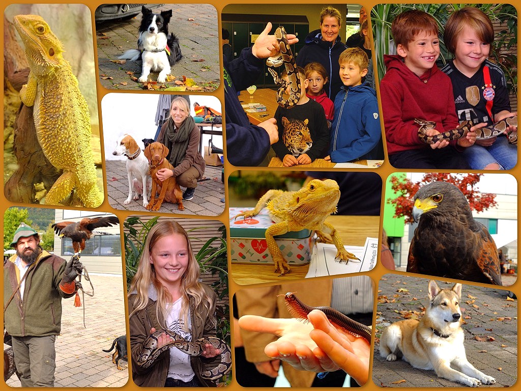 Maus Trffner - Tag 2017  im Vivarium in Lohr a. Main