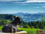 allgaeu2023__019.jpg
