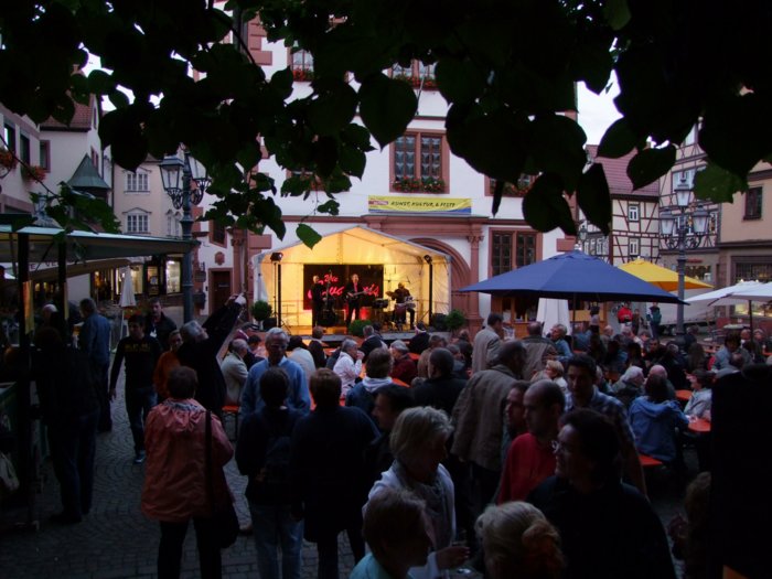 altstadtfest2010_b_520.jpg