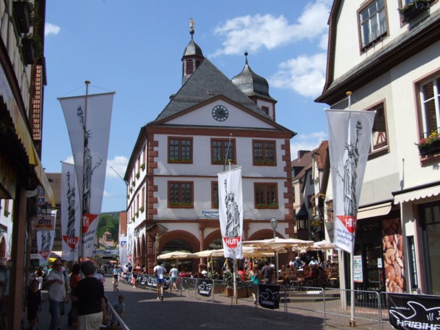 altstadtlauf_203.jpg