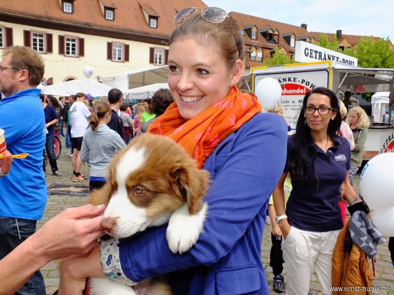 altstadtlauf2013__056.jpg