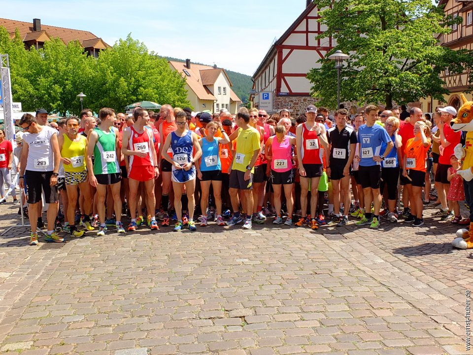 altstadtlauf2015__070.jpg