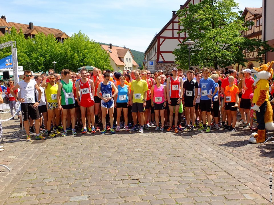 altstadtlauf2015__071.jpg