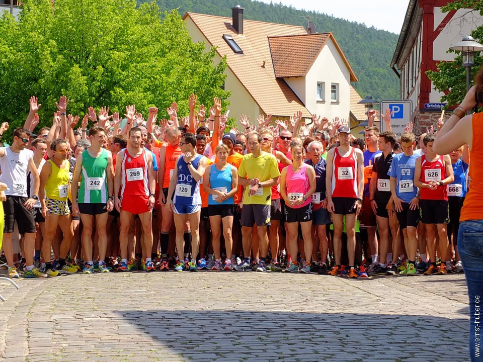 altstadtlauf2015__073.jpg