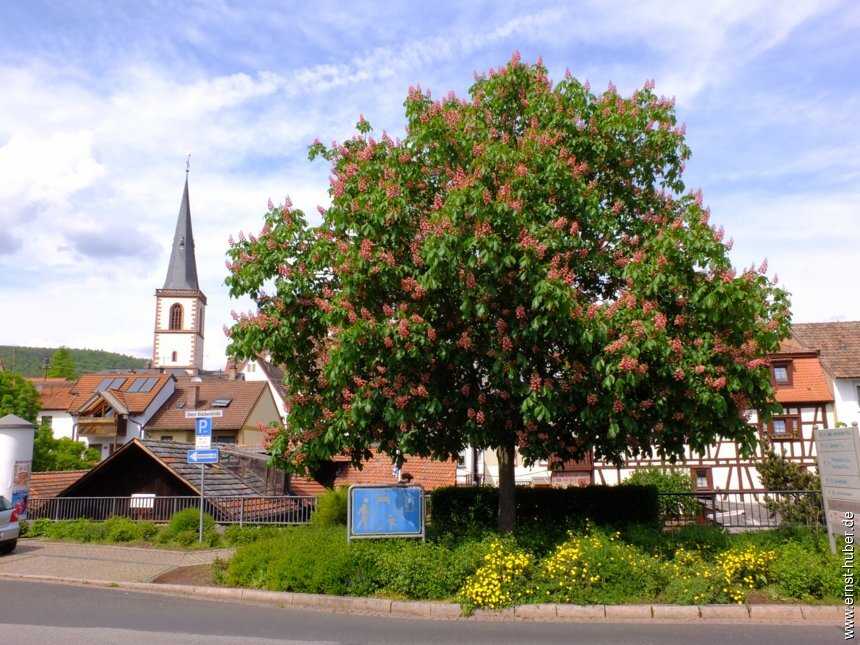 stadtlauf2023__454.jpg