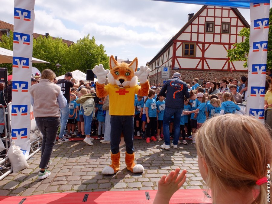 stadtlauf2025-___021.jpg