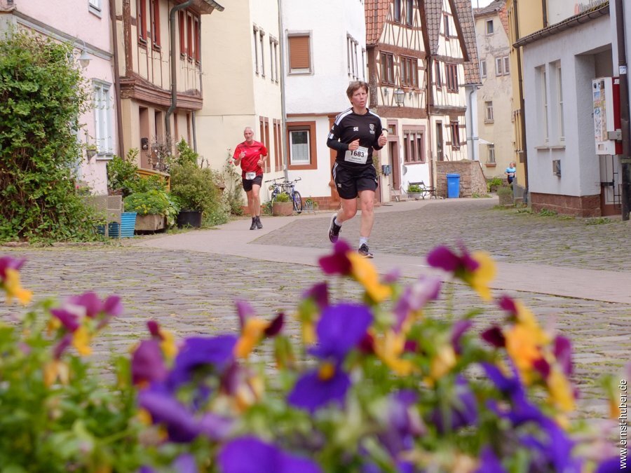 stadtlauf2025-___530.jpg