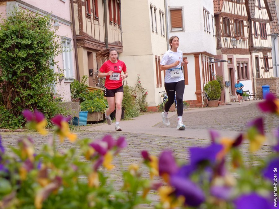 stadtlauf2025-___540.jpg