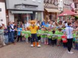 stadtlauf2025-___198.jpg