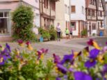 stadtlauf2025-___527.jpg