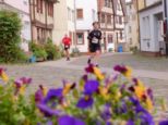 stadtlauf2025-___530.jpg