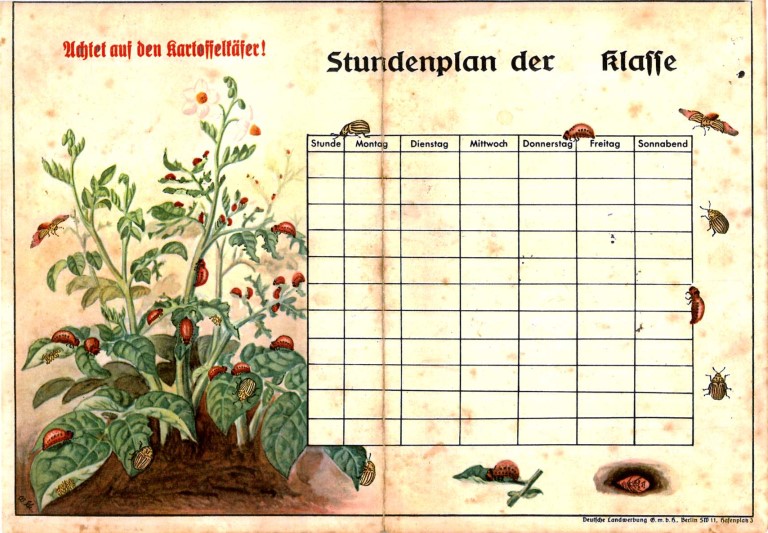 Stundenplan-Vordruck aus dem Dritten Reich: „Achtet auf den Kartoffelkfer!