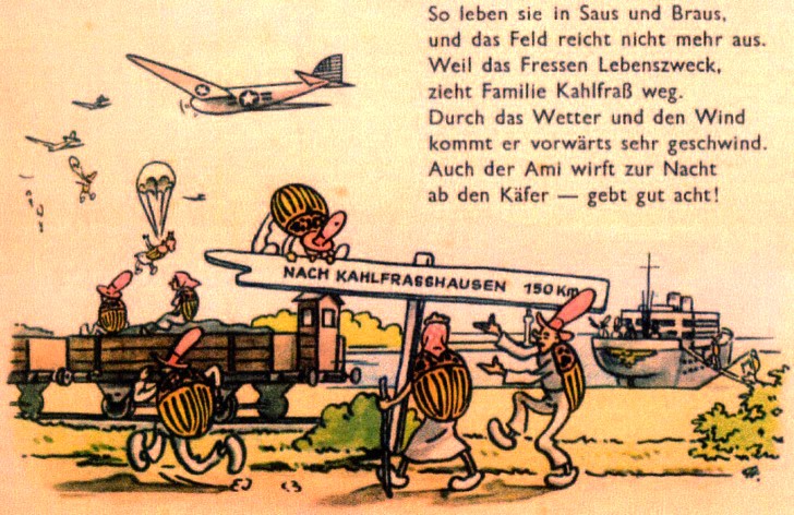 Plakat 1950 - die Kartoffelkfer als „Saboteure in amerikanischen Diensten am Werk!“