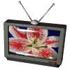 Bin ich jetzt im Fernsehen