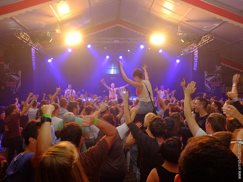 barbedwire2015__702.jpg