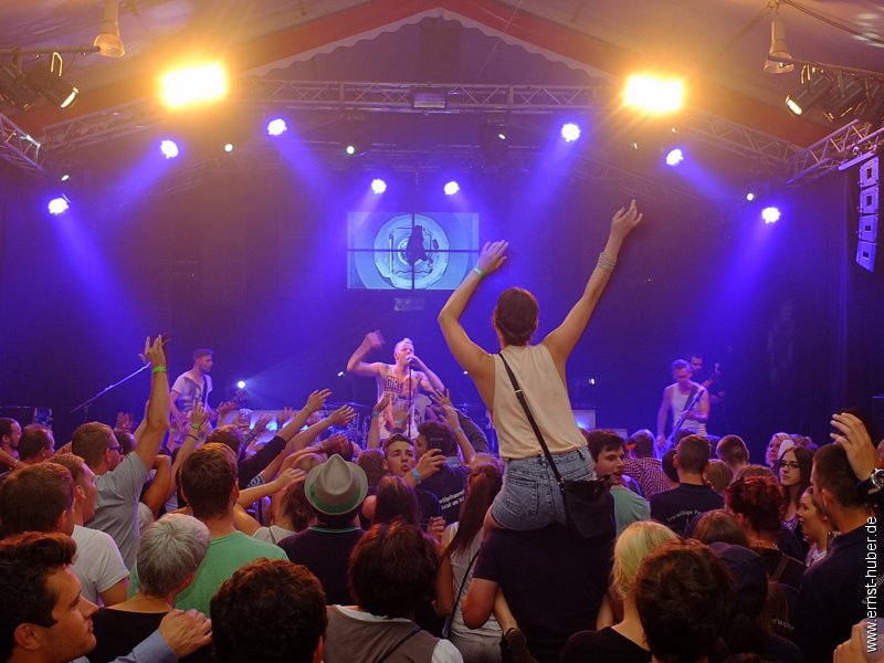 barbedwire2015__706.jpg