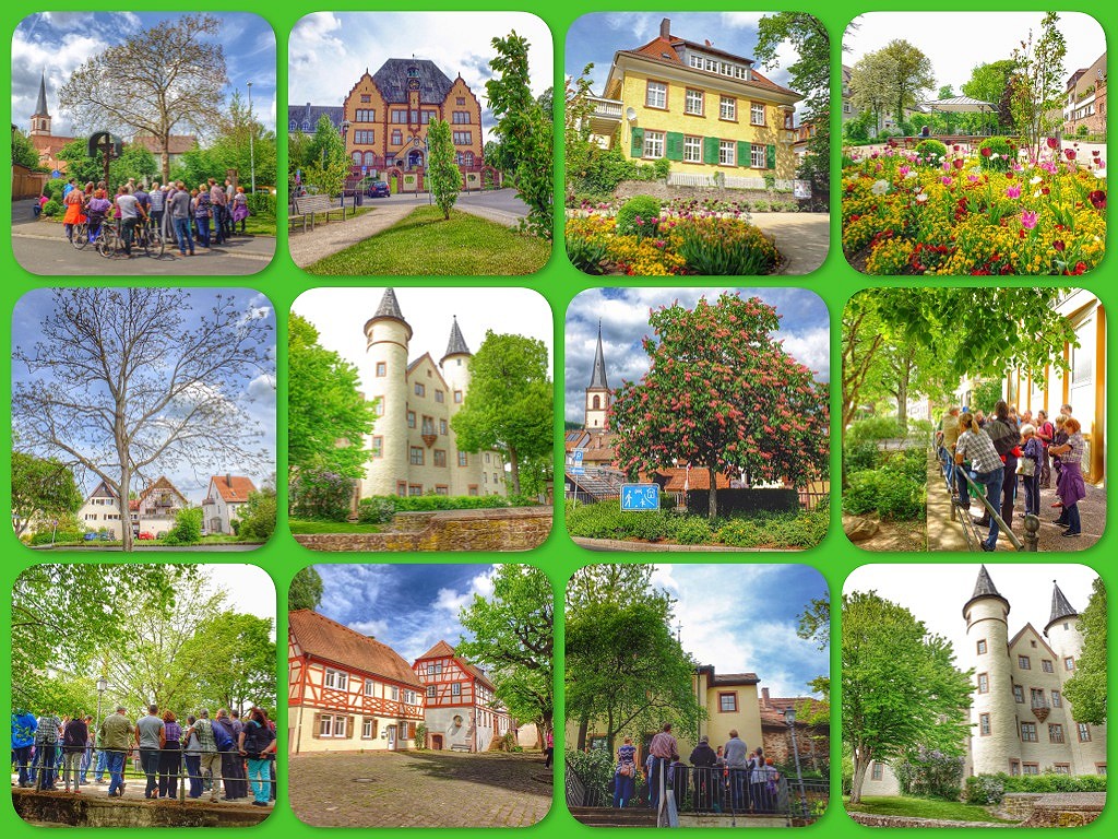 Mein Freund der Baum - offene Führung in Lohr a. Main