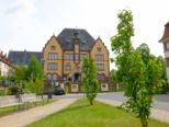 baumfuehrung__159.jpg