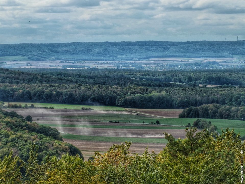 baumwipfelpfad__168.jpg