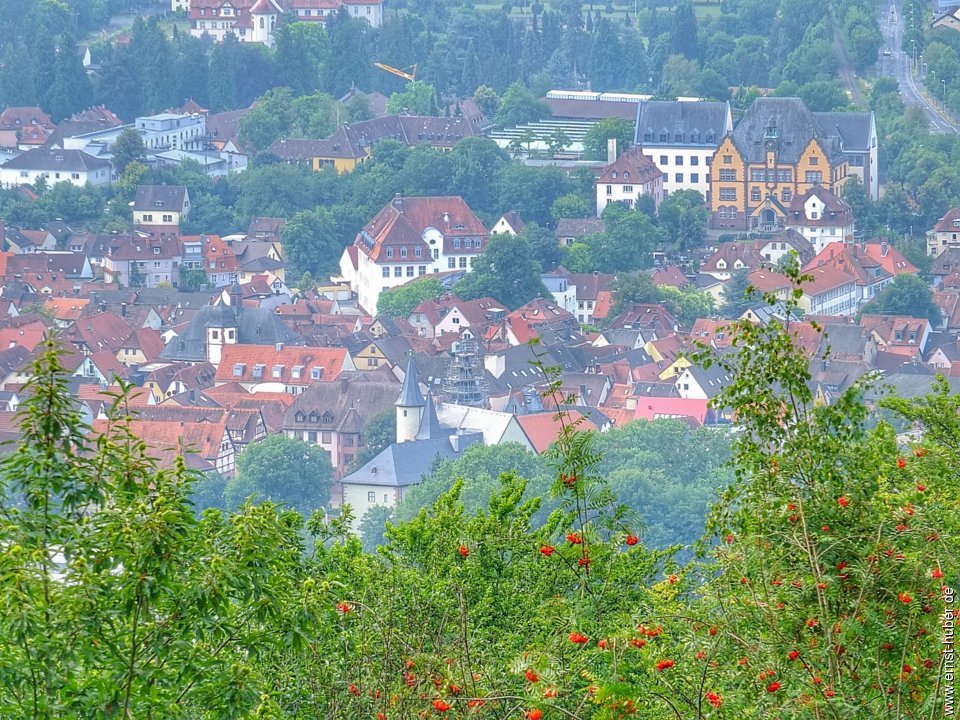 beilstein2020__030.jpg