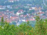 beilstein2020__030.jpg