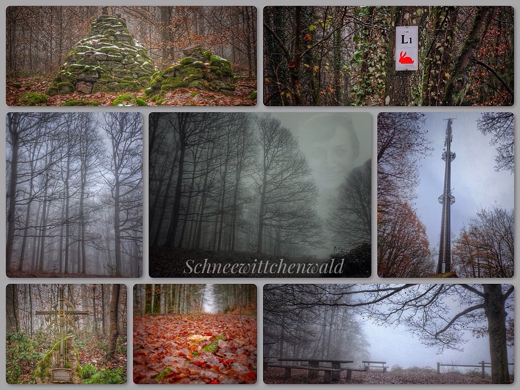 Willkommen im Mrchenwald auf dem Beilstein in Lohr a. Main