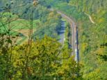 beilstein_10_22__198-01.jpg
