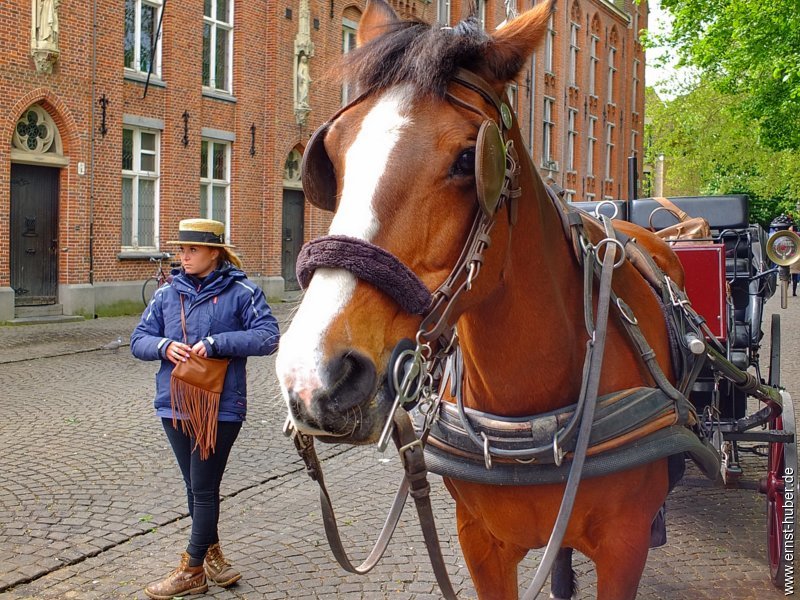 dscf4772.jpg