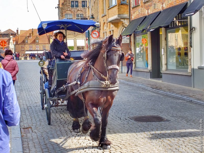 dscf4860.jpg