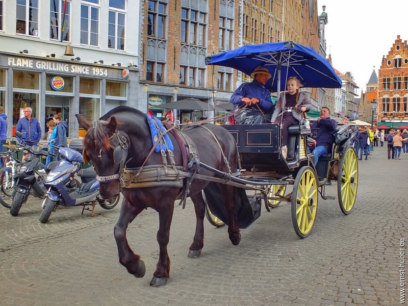 dscf4916.jpg