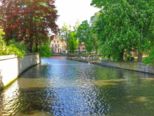 dscf4753.jpg