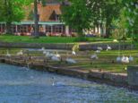 dscf4758.jpg