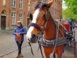 dscf4772.jpg