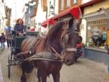 dscf4773.jpg