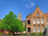 dscf4791.jpg