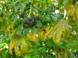 dscf4844.jpg