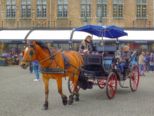 dscf4890.jpg