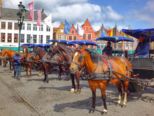 dscf4895.jpg