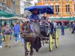 dscf4915.jpg