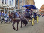 dscf4916.jpg